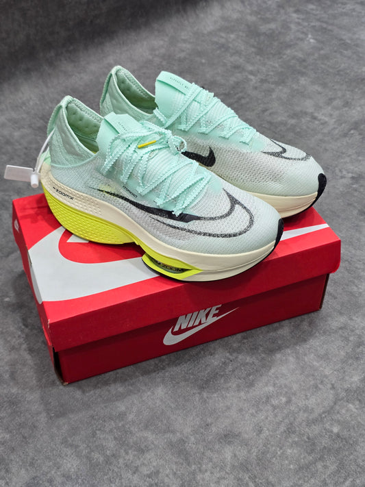Nike Zoom X 💚